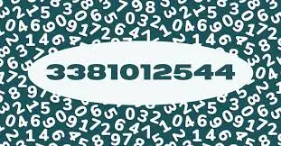 3381012544